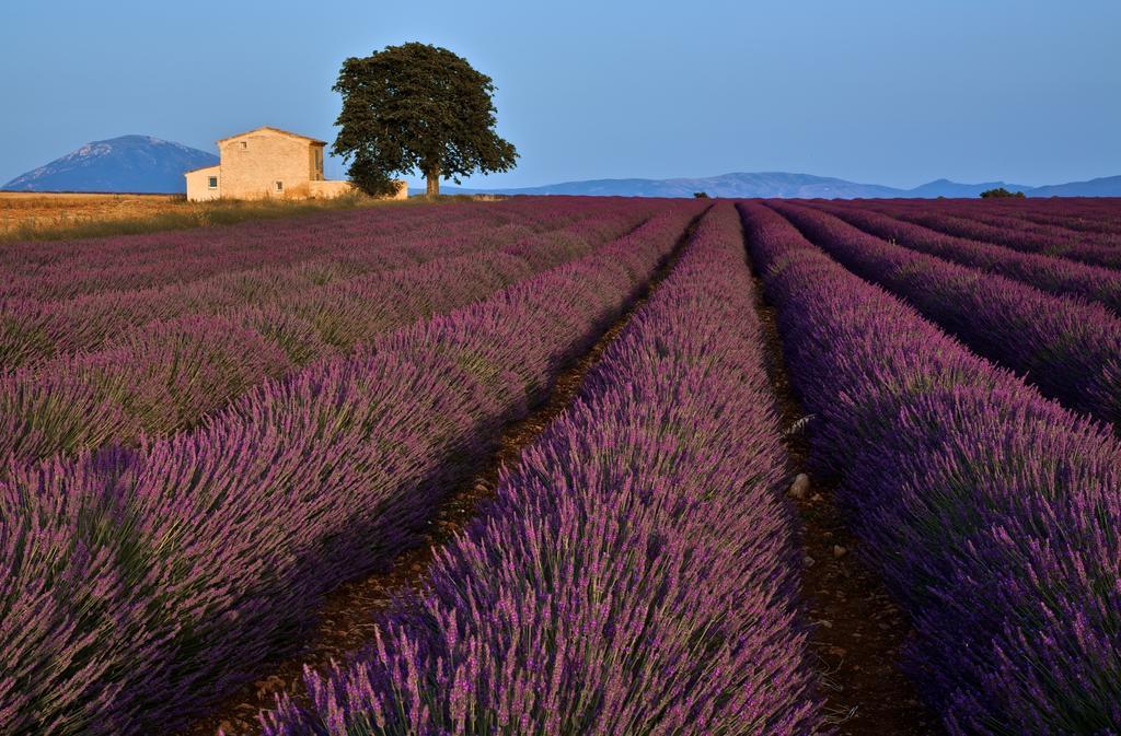 La Maison Des Collines Allemagne-en-Provence Ngoại thất bức ảnh